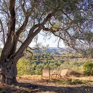 Monte Oliva - Alojamento de Turismo Rural Santo Estevao (Faro)